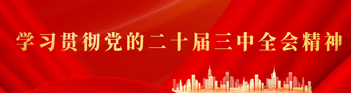 学习贯彻党的二十届三中全会精神